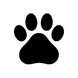 Pet 360